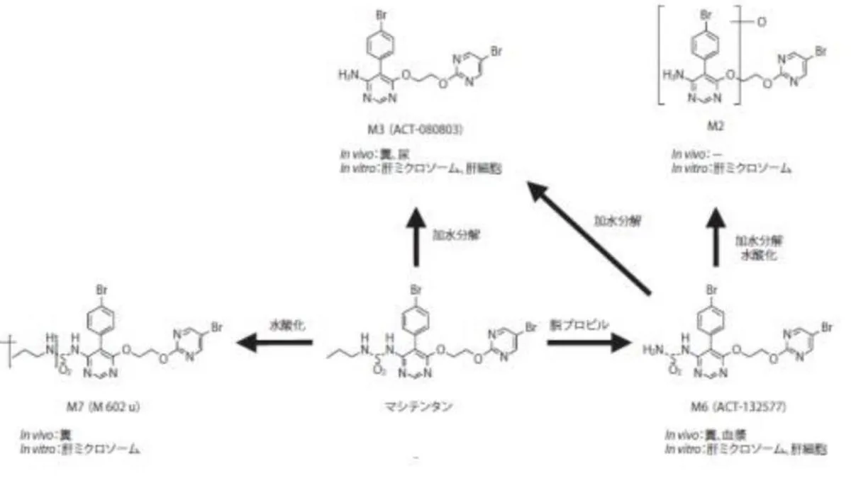阿普昔腾坦仿制药药盒